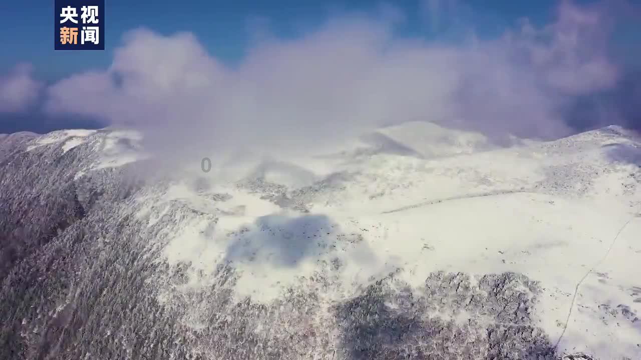 拯救精灵的土地7